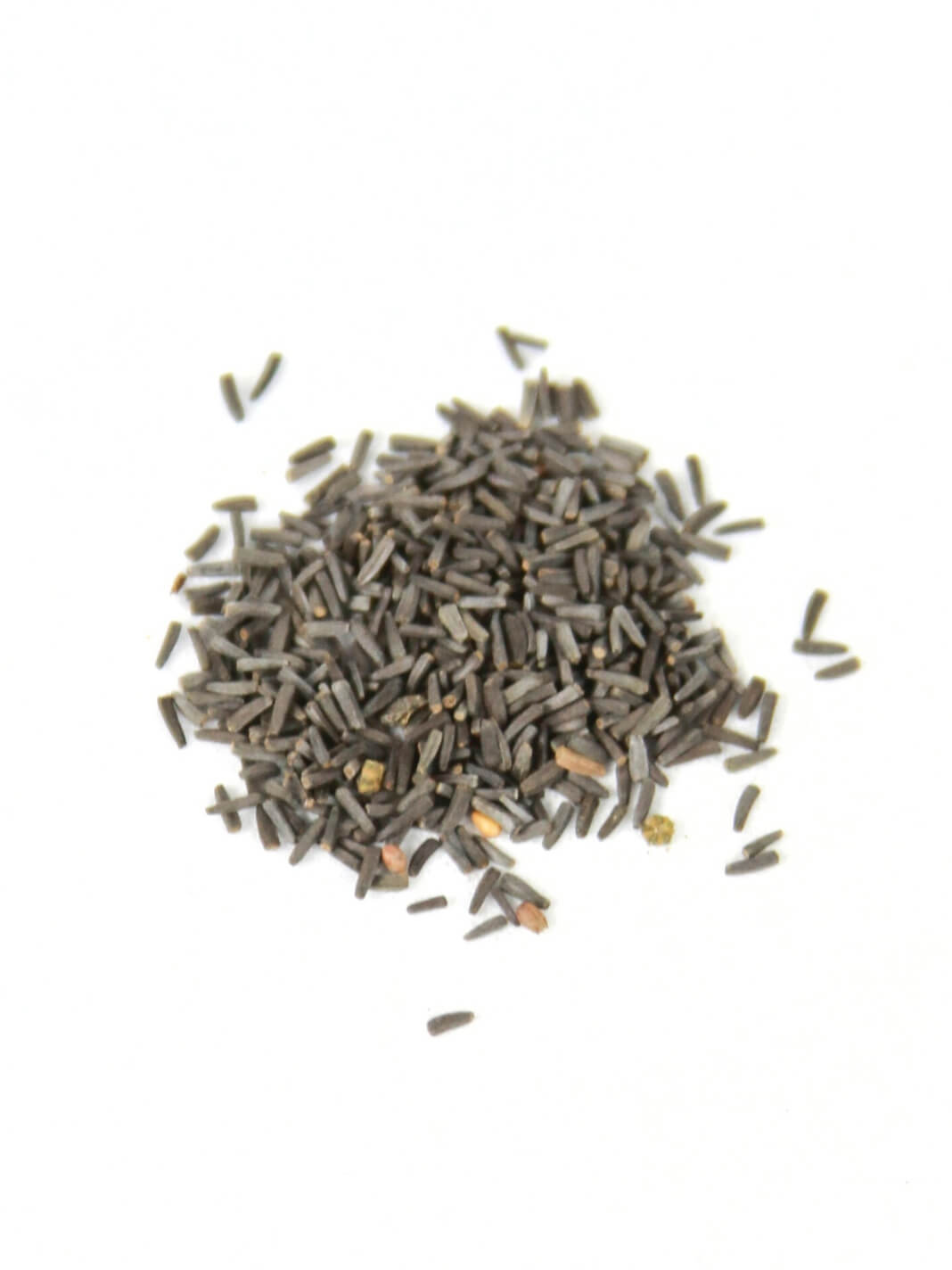 Semillas Rudbeckia