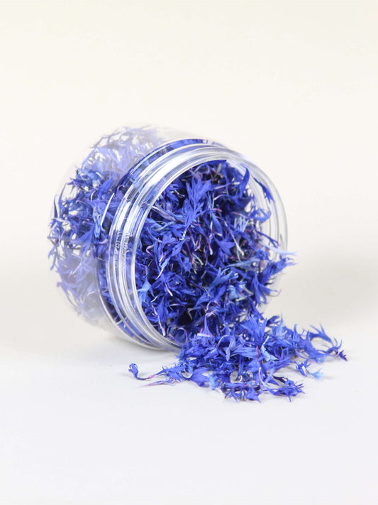 Pétalos flor de Centaurea