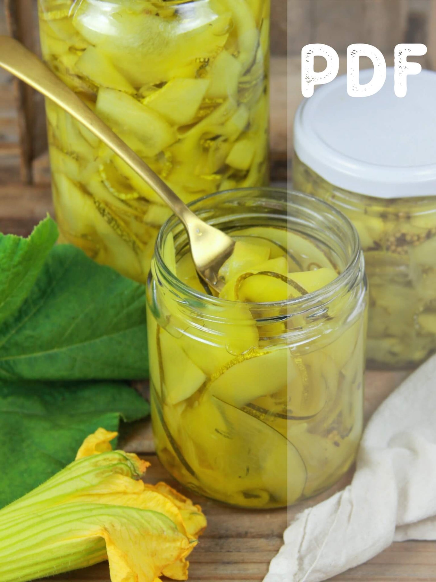 Receta Descargable Zapallitos Encurtidos (PDF)