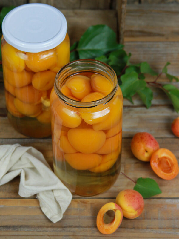 RECETA DESCARGABLE ALBARICOQUES EN CONSERVA (PDF)